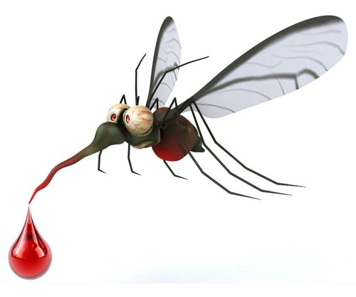 Imagen 4 de 4 de Mosquitero Tul Bebe Repelente Natural Anti Mosquitos 180x150