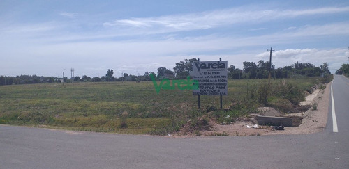 Imagen 10 de 10 de Terrenos En Venta En Lagomar, Ii Etapa , Fraccionamiento Almenara