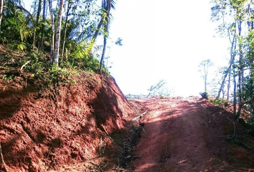 Imagem 3 de 4 de Chácara Em Rio Calçado, Guarapari/es De 20000m² À Venda Por R$ 275.000,00 - Ch199182-s