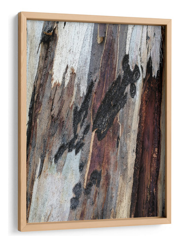 Cuadro Enmarcado Pino Corteza 2 30x40, Mem