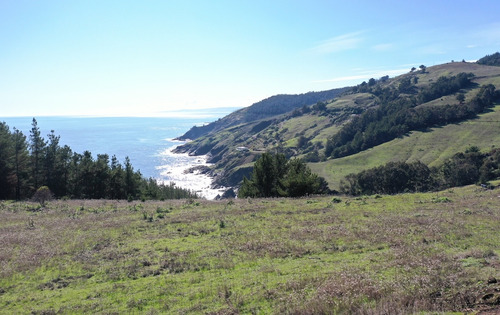 Vista De Primera Línea, Costa Vichuquén