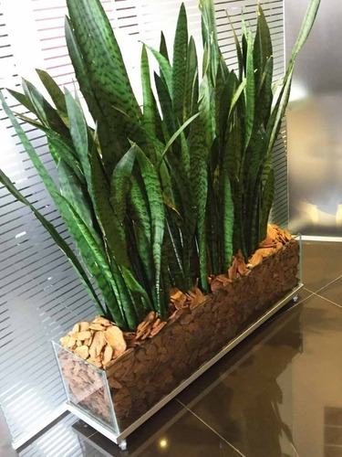 Vaso Cachepot Vidro Retangular 70x20