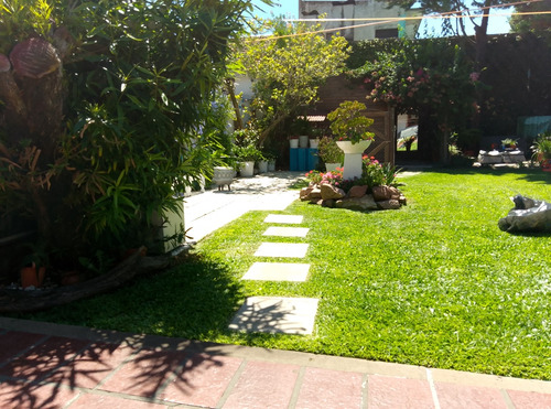Diseño Y Mantenimiento De Jardines.