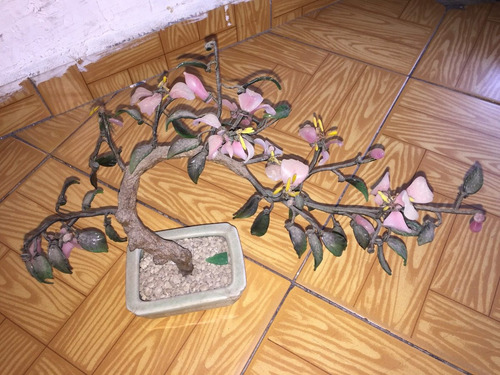 Planta De Flores De Jade Chino