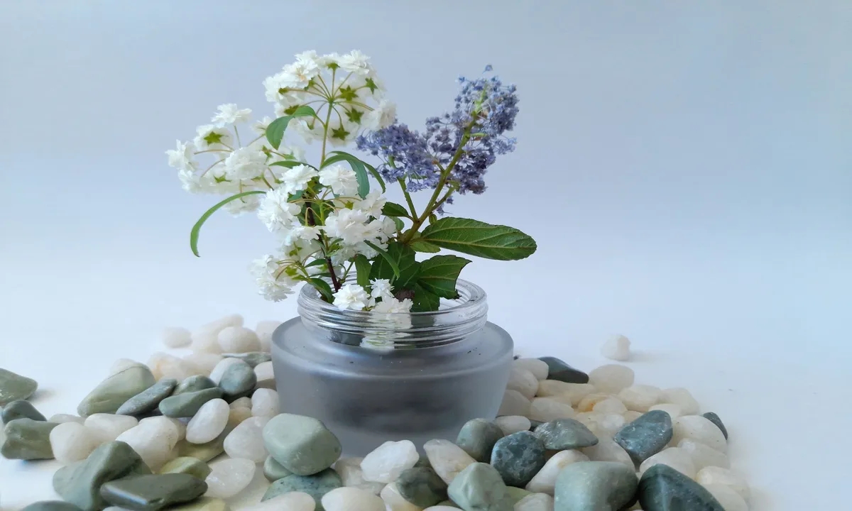 Productos naturales