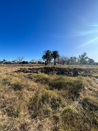 Imagen 6 de 8 de Terreno En Venta En Altos De San José