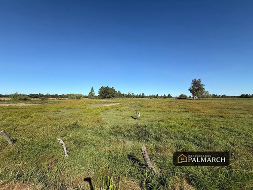 Terreno Urbano En Venta A Minutos De Mall Vivo Chillán