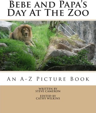 Libro Bebe And Papa's Day At The Zoo - Steve Cameron