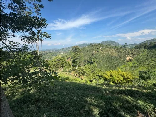 Lote En Venta En Vereda La Aurora Manizales | Venta Terreno