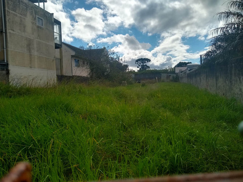 Imagem 1 de 4 de Terreno À Venda, Cajuru, Curitiba, Pr - Pr - Te0007_grid