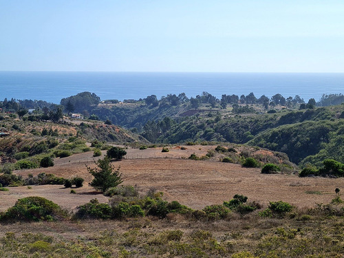 Imagen 7 de 25 de Parcelas De 5.000 Con/sin Vista Mar En Condominio Algarrobo