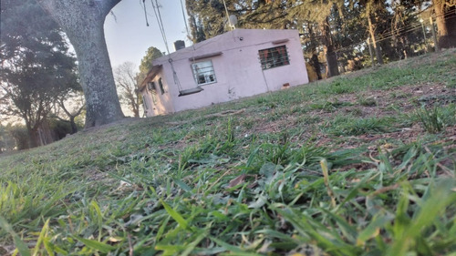 Imagen 6 de 20 de En Venta!!! Casa Quinta Frente A Rn 188, Km 153. (junín - Ba)