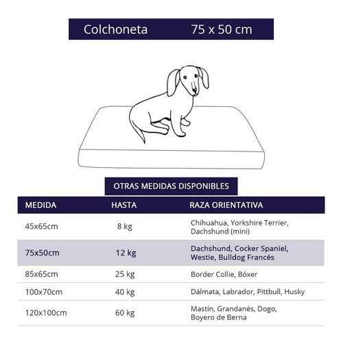 Cama Colchoneta Para Perros Lola Pets Antidesgarro 75x50 Cm