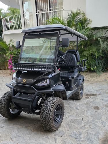 Carro Tipo Buggy De 4 Pasajeros