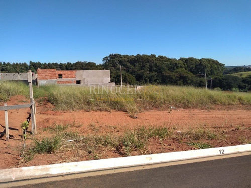Imagem 2 de 4 de Terreno Padrão Em Suzano - Sp - Te0114_rncr