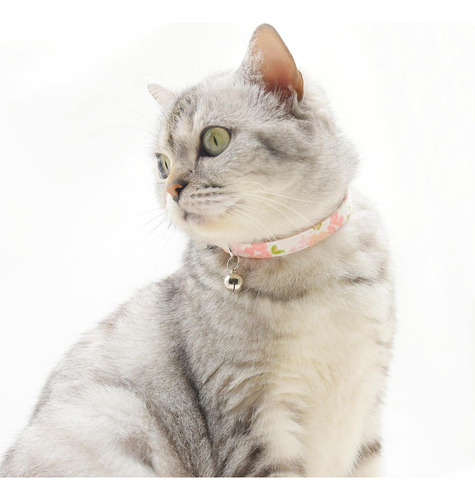 Collares Para Gatos Separables Con Campana, Juego De 3, Dura