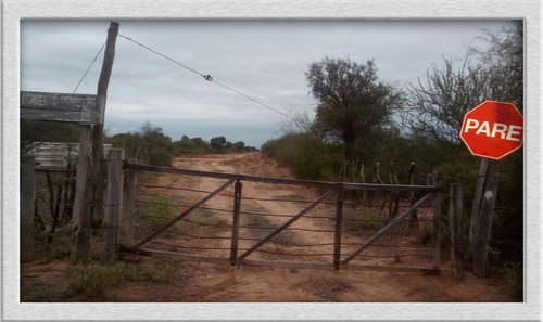 Campo En Venta En Patquia, La Rioja