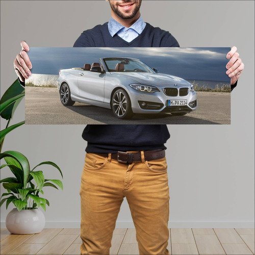 Cuadro 30x80cm Auto 2015 Bmw 2 Series Convertibl 248