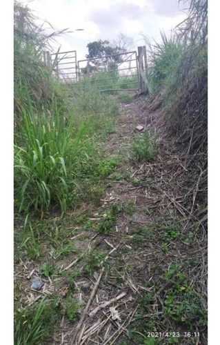 Imagen 9 de 13 de Venta De Lote De Terreno De Cuatro Hectáreas San Diego Carrizal