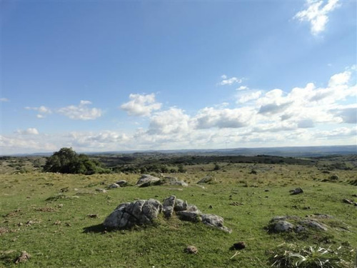 Imagen 12 de 12 de Campo En Venta En Aiguá (ref: Atm-4271)