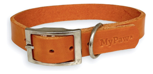 Collar De Cuero Simba Para Perros Y Gatos Grandes Mypaw F