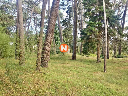 Imagen 5 de 12 de Venta De Terreno En Cantegril Punta Del Este - Punta Del Este Cantegril