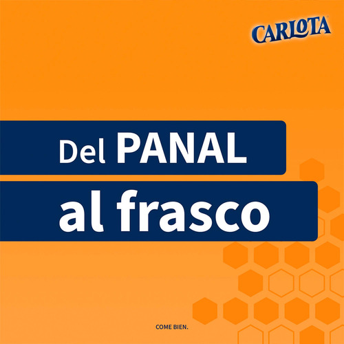 Miel De Abeja Carlota 500 G