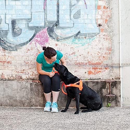 Arnés Para Perros De Ajuste Rápido Ezydog - Arnés Sin Tirone