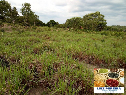 Imagem 12 de 15 de Fazenda À Venda No Vale Do Araguaia - To - De 22 Alqueirões (dupla Aptidão) - 1651
