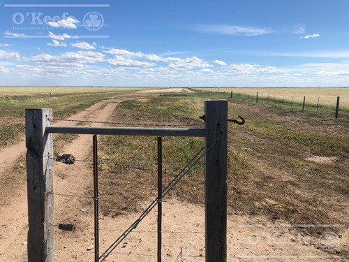 Imagen 20 de 29 de Campo Ganadero De 4300 Has - Sobre Ruta - Potencial Parque Eolico - Bahia Blanca