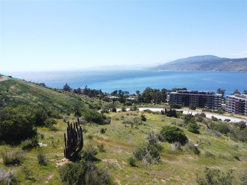 Excelente Sitio En Condominio Mirador De Punta Pite
