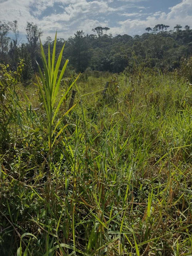 Imagem 1 de 1 de Terreno Em Parelheiros
