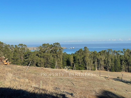 Pichilemu, Casa Nueva Con Increíble Vista A Punta ...