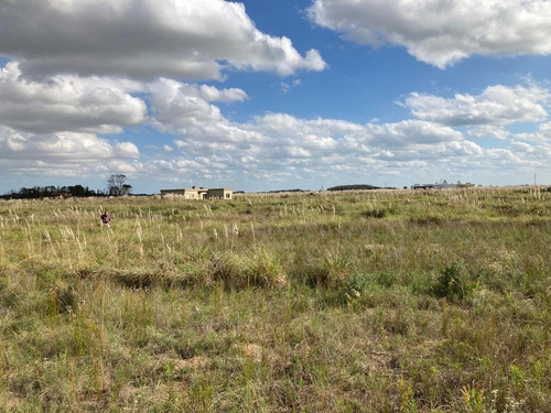 Imagen 2 de 3 de Lote En Venta- Barrio El Salvaje- Mar Azul