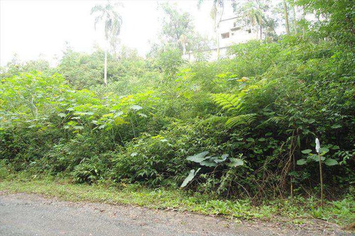 Imagem 2 de 4 de Terreno, Portal Das Acácias, Santana De Parnaíba - R$ 170 Mil, Cod: 126300 - V126300