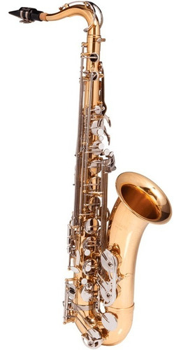Saxofone Tenor Michael Wtsm49 Banho Duplo Dourado