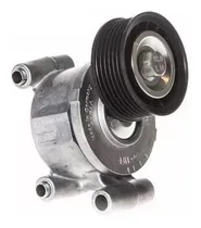 Comprar Tensor Correa Poli V Ford Focus\u002Feco Duratec 2.0 Original