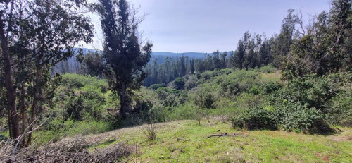 Venta Parcela, En Condominio Camino A Leyda
