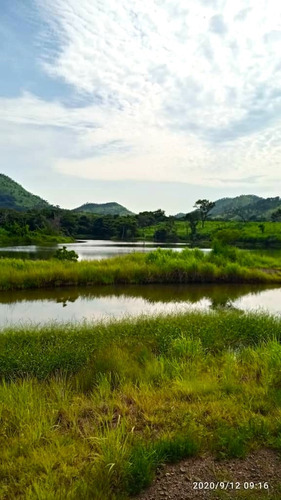 Finca En San José De Tiznados, Municipio Ortiz, Estado Guarico