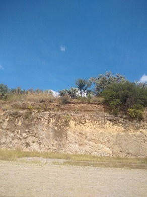 Imagen 4 de 6 de Terreno Habitacional En Venta En Hacienda De La Concepción - (2)
