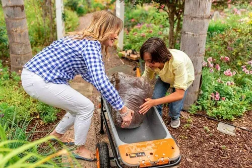 Carretilla Para Jardín Multifunción 8 En 1 Agro Worx Wg050