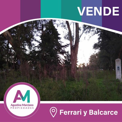 Imagen 1 de 3 de Manzana En Venta!