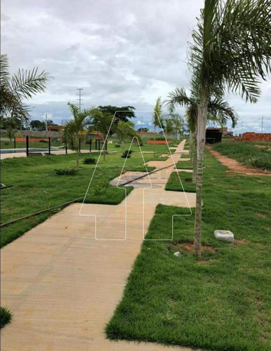 Imagem 6 de 6 de Terrenos - Ref: V18632