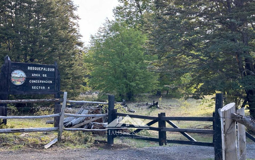 Häuser Vende Cabaña En Palguin Alto Pucon 2dorm 1b