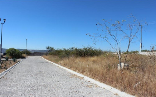 Terreno En Venta Fraccionamiento Vista Real (los Agaves)