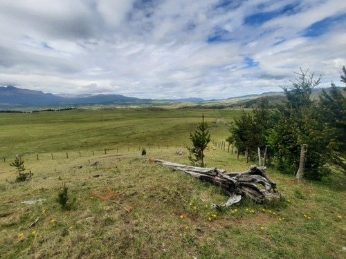Parcela En Venta Coyhaique Sector Emperado Guillermo