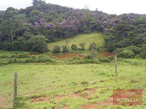 Imagem 17 de 20 de Sítio À Venda, 163000 M² Por R$ 650.000,00 - Vargem Do Salto - Ibiúna/sp - Si0001