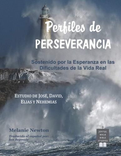 Libro Perfiles De Perseverancia Sostenido Por La Esperanza