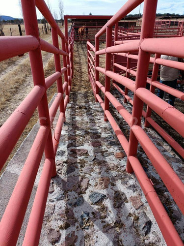 Rancho En Venta Cd. Guerrero, Chihuahua.