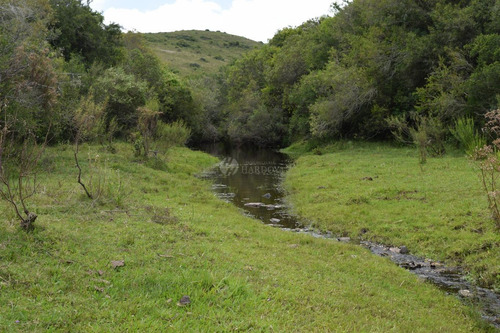 Imagen 7 de 20 de Venta Chacra Sierra Ruta 39 Aigua Sierra De Los Caracoles